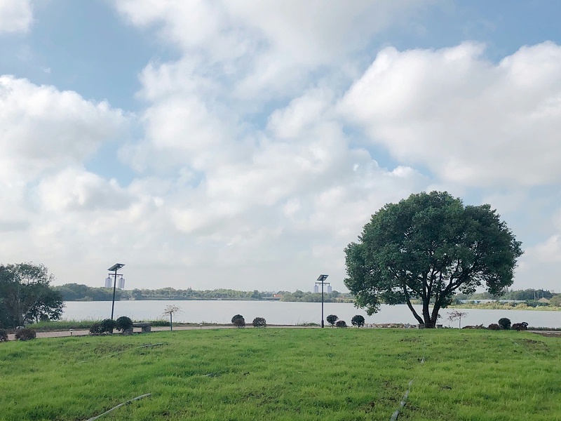 美好（hǎo）的環境 共同的家（jiā）園