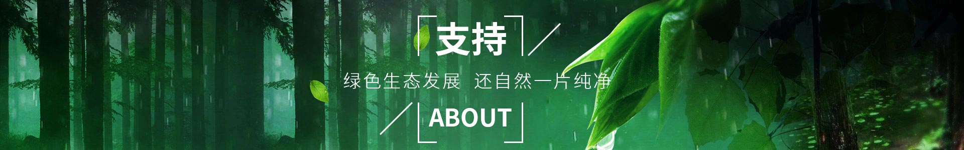 纯宇-助力绿色生态发展，还自然一片纯净（jìng）