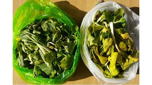 光降解塑料袋和生物降解塑料袋（dài）的區別