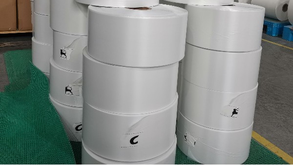 生物降（jiàng）解製品