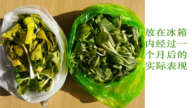 生物降解袋能直接包（bāo）裝食（shí）品嗎？